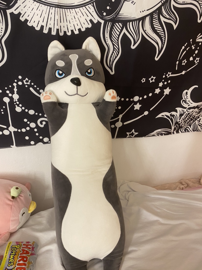 בובת פרווה של חתול