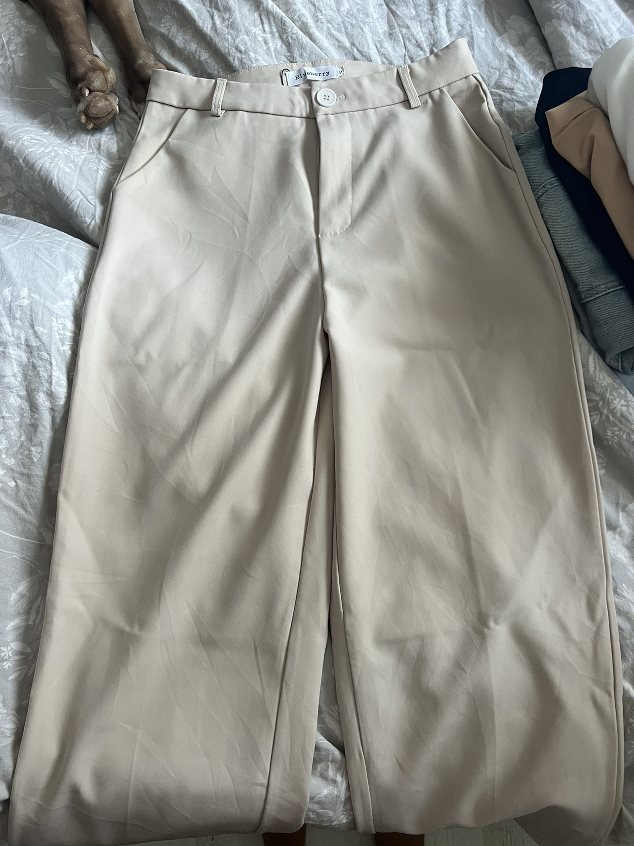 מכנס מחויט מבלוברי