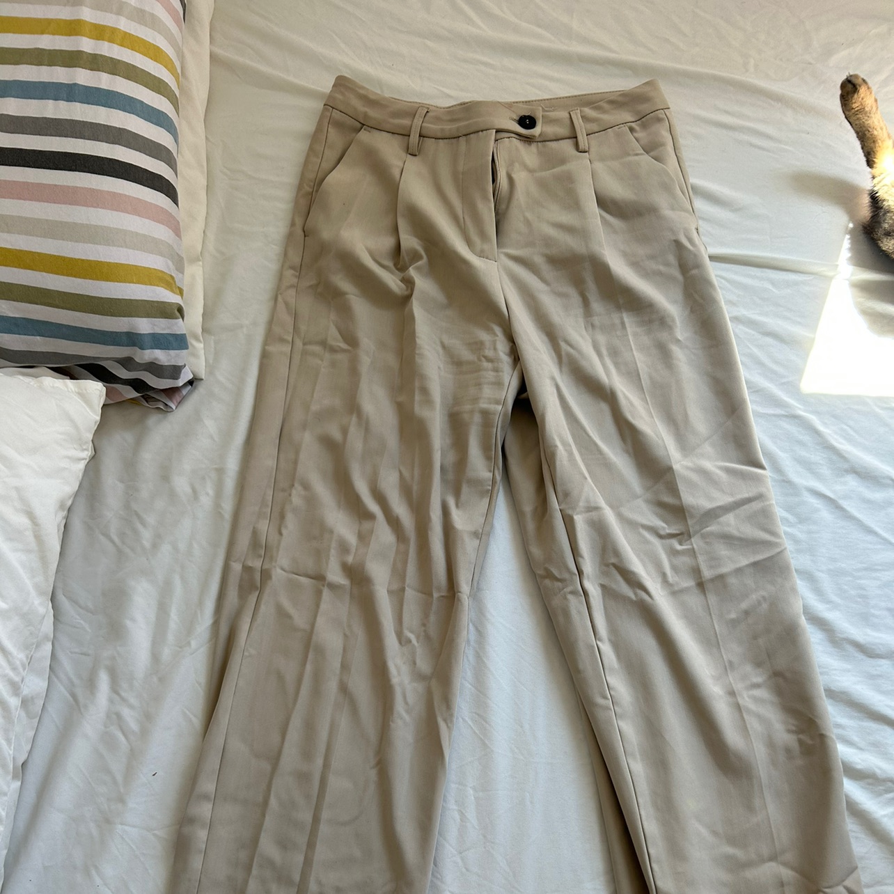 מכנס מחויט ברשקה🫶🏼