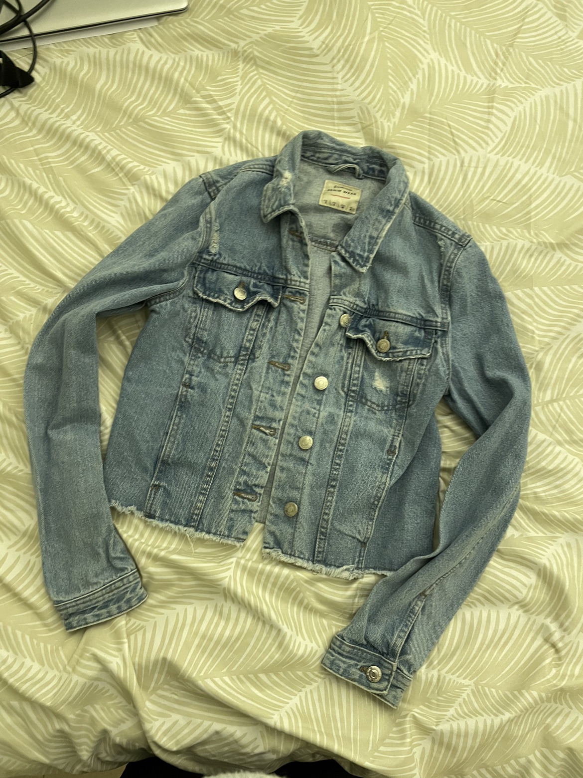 ג׳קט ג׳ינס היסטרי מסטרווידריוס