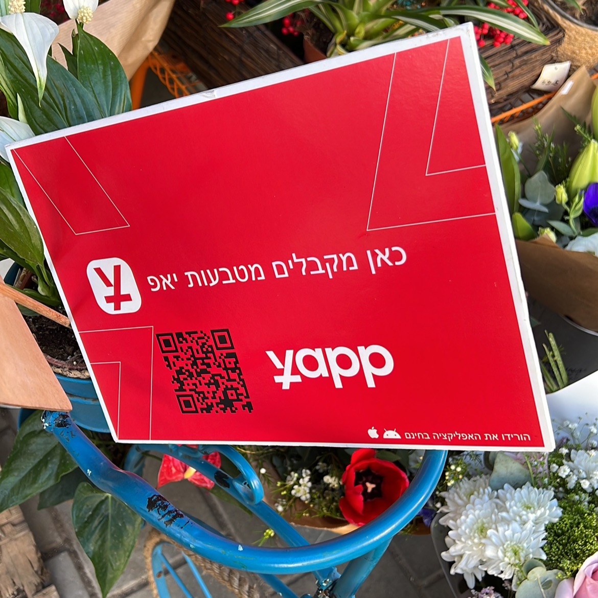 פרחים בהזמנה לפי בחירה 