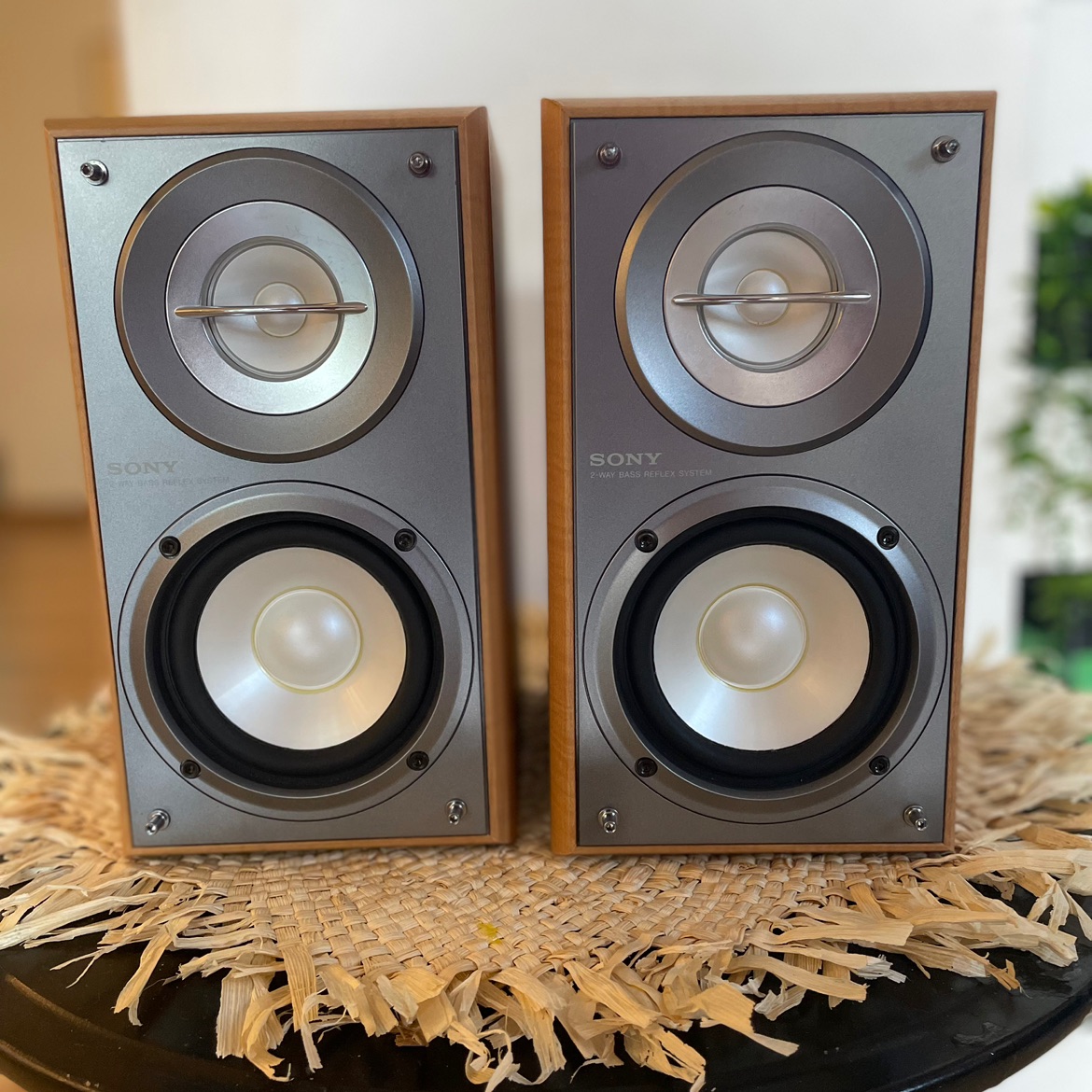 רמקולים וינטג׳ Sony 
