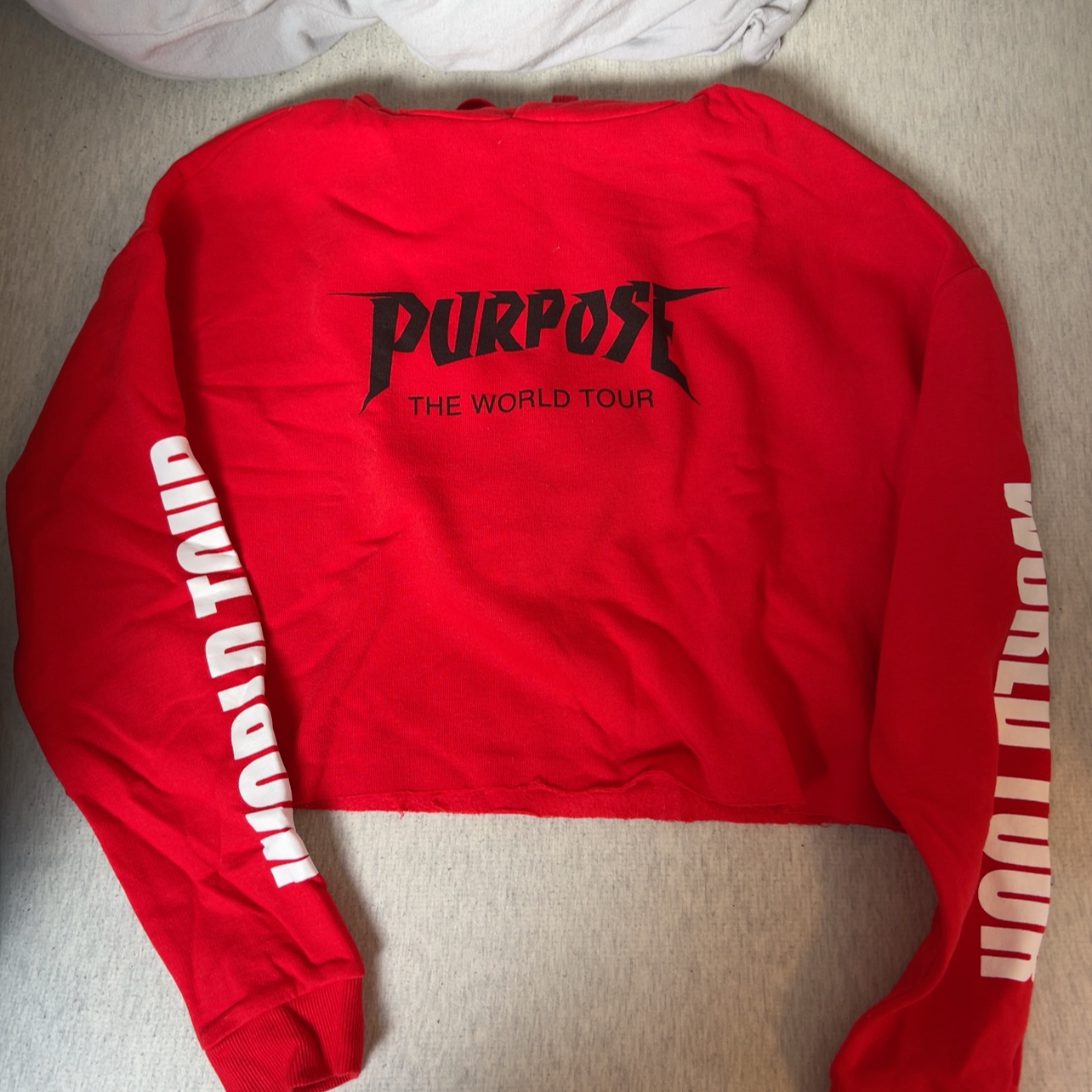 סווצר puepose tour של גסטין ביבר