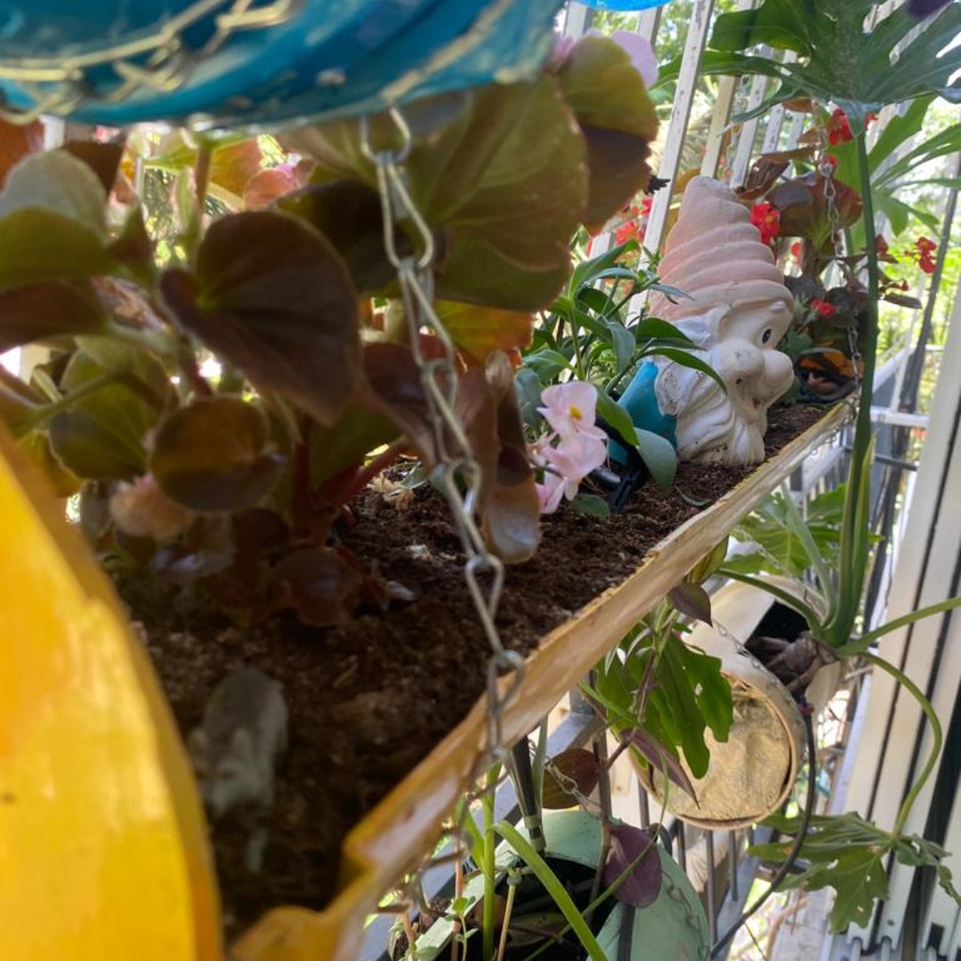 עציץ בעיצוב ייחודי