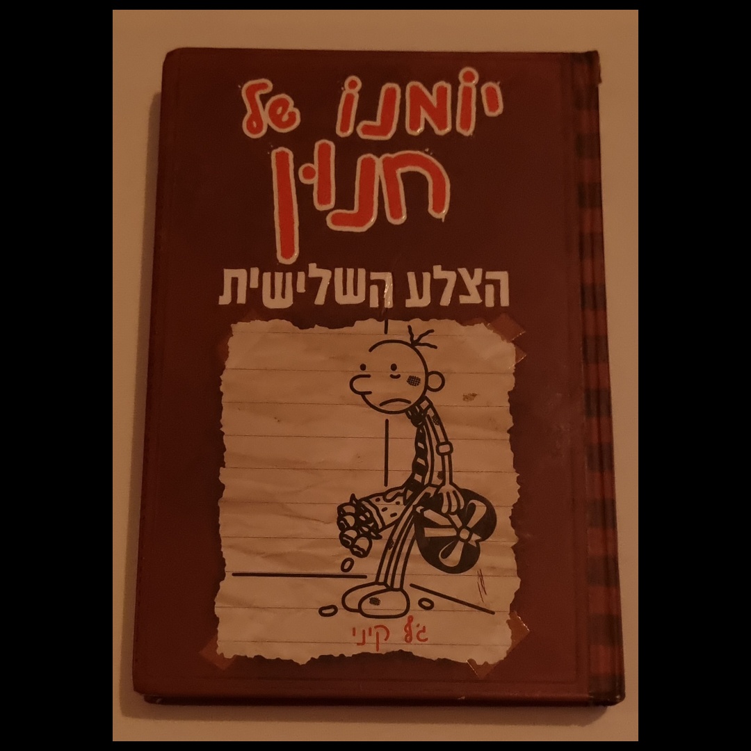 יומנו של חנון - הצלע השלישית