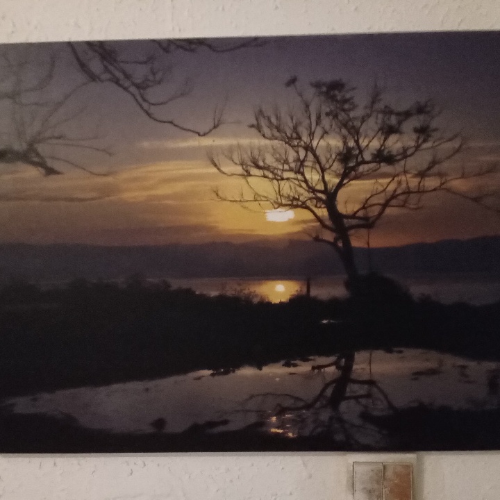 תמונה מהממת