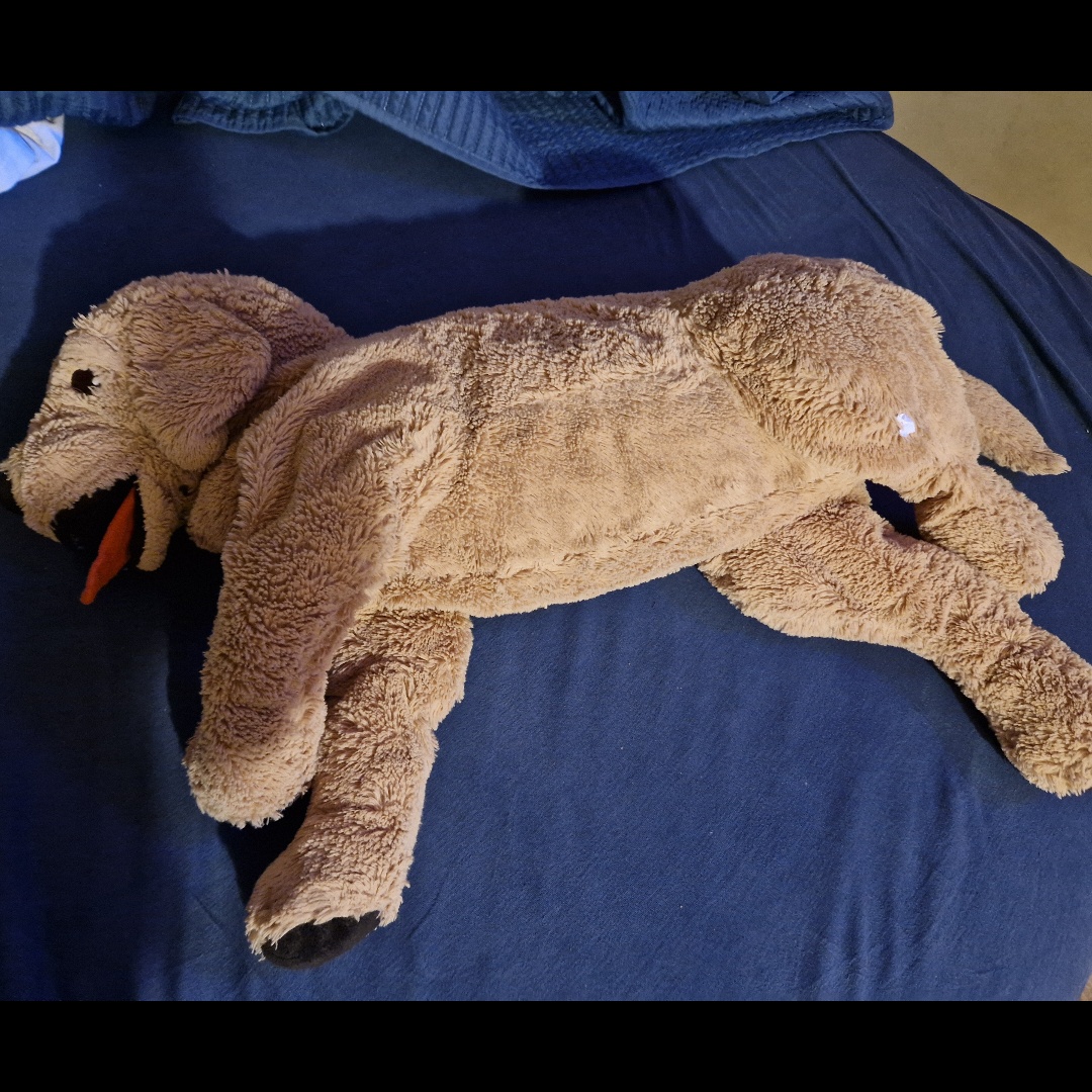 בובת כלב ענקית בד רך ונעים באיכות טובה רק ב 80₪